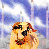 Kurban Bayrami - Aleviten